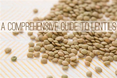 Search for different types of coffee beans. A Comprehensive Guide to Lentils from Oh My Veggies!