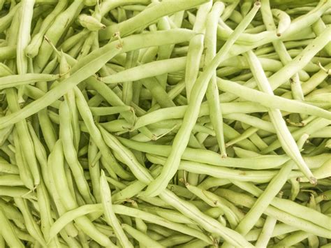 Images Gratuites Aliments Ingrédient Produire Légume Haricot Vert