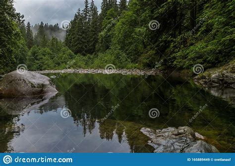 Pine Trees Reflecting In The Crystal Clear Water Of A Lake On A Cloudy