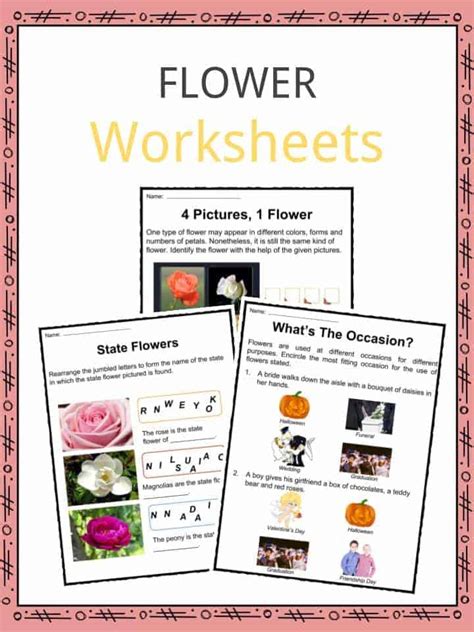 Gardening magazines.parents most likely have some from past years. Flower Facts, Worksheets, Types & History For Kids
