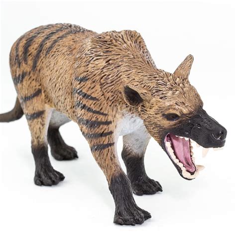 Hyaenodon Gigas Toy In 2021 Wild Safari Prehistoric Animals Hyena