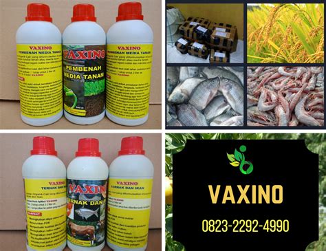 Agens hayati pengendali opt yang efektif dan bisa diproduksi dengan biaya mudah dan murah. jual pupuk organik cair Archives - TERBAIK-Distributor ...