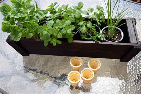 Diy Deck Organic Herb Garden With Ashley And Company