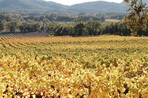Aix en Provence Wine Tour