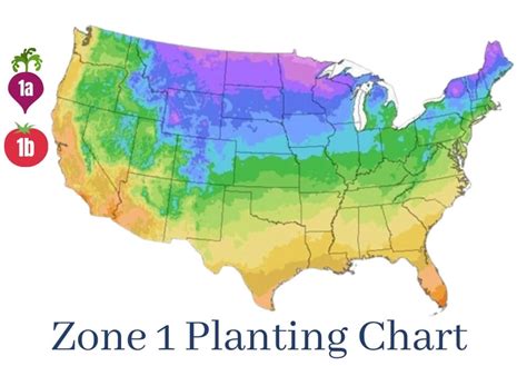 Zone 1 Vegetable Planting Chart Kellogg Garden Organics™