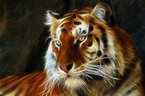 49 3d Tiger Wallpaper