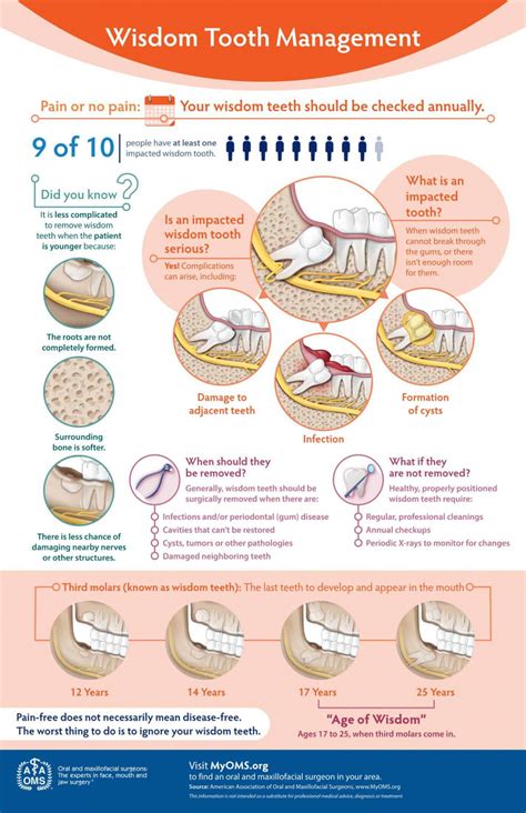 Wisdomteethmanagementinfographic Oral And Maxillofacial Surgical