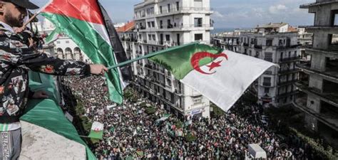 ما هو اسم أكبر مدينة في المدن الأوروبية؟ الإجابة: لماذا سميت الجزائر بلد المليون شهيد - سطور