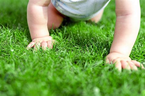 We are here for our neighbors in bergen county, essex county and hudson county. The Turf Doctor | Local & Professional Lawn Care Services