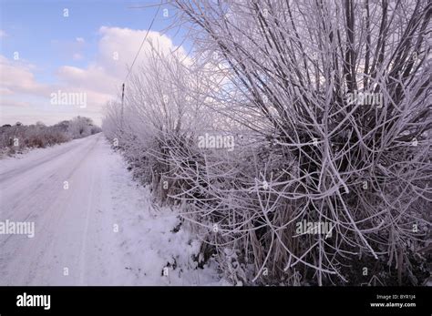 Snow And Frost Near Nogdam End Norfolk Broads Stock Photo Alamy