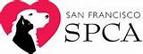Photos of Spca Vet Clinic San Francisco