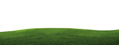 Free Rumput Png, Download Free Clip Art, Free Clip Art on ...