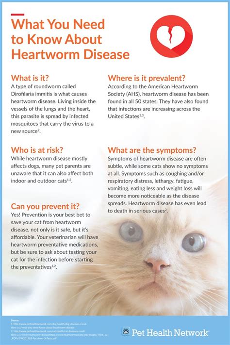 Shop heartworm prevention prescriptions including revolution, advantage multi & interceptor for cats online with free shipping offer on veterinary medicine! 17 Best images about Heartworm on Pinterest | Cats, For ...