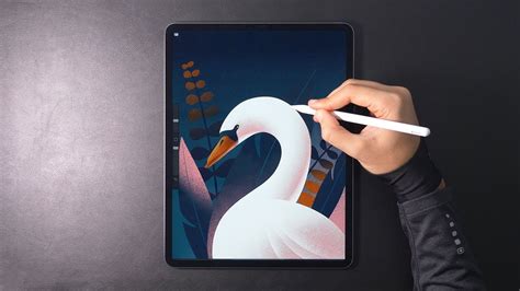 Swan Digital Art With Ipad Pro Youtube