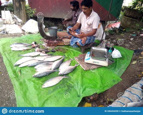 Local Fish Selling Market With Various Fish Display At Barasat Kolkata