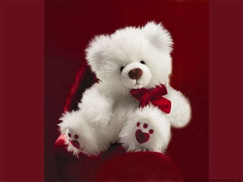 77 teddy bears wallpapers images in full hd, 2k and 4k sizes. happy Teddy Day 2016- Teddy bear HD wallpapers and Quotes