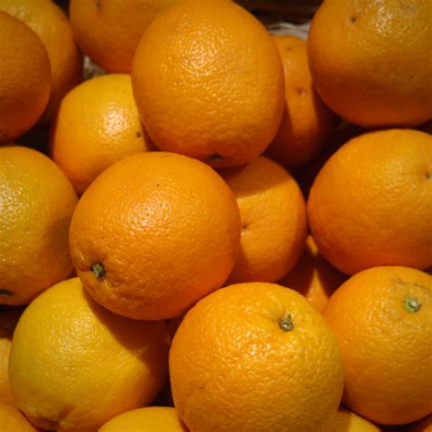 Large Oranges Each · Essington Farm