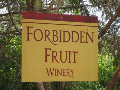 Art Wine Photo De Forbidden Fruit Winery Cawston TripAdvisor
