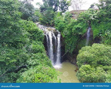 The Fresh Nature Of The Curug Or Waterfalls Gondoroiyo In Semarang