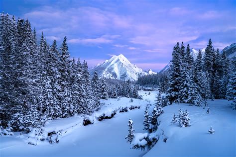 Sunrise On Snow Covered Mountains Canadian Rockies Print Photos By