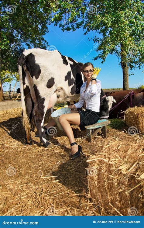 Vache à Traite De Femme Image Stock Image Du Agriculture 22302199