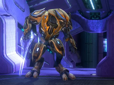 4.7 out of 5 stars 3 ratings. Image - Gold zealot.jpeg | Halo Nation | FANDOM powered by ...