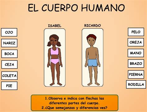 Check spelling or type a new query. RECURSOS PARA TRABAJAR INFANTIL: El cuerpo humano, ¿Cómo ...