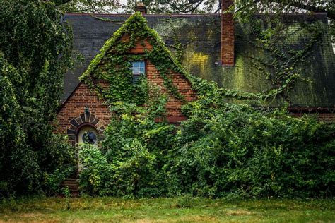 When Nature Takes Over Abandoned Buildings Reclaimed House In The