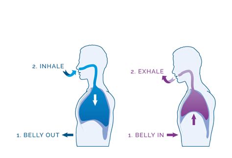 The Mindful Minute Using Diaphragmatic Breathing During Mindfulness