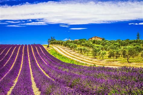 Provence France Nature Beautiful Landscapes France Travel