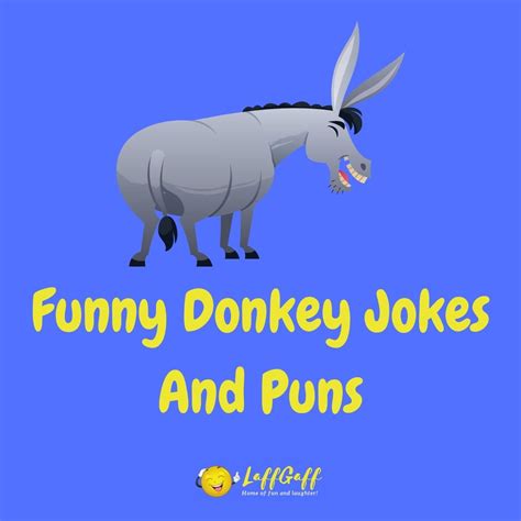 37 Hilarious Donkey Jokes And Puns! | LaffGaff