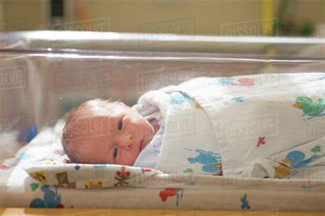 Portrait Of Cute Newborn Baby Boy Lying In Crib At Hospital Stock