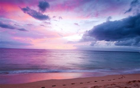 Beach Sea Purple Landscape Wallpapers Hd Desktop And Mobile Backgrounds