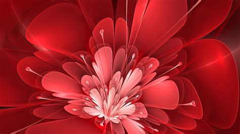 31 Red Flower Wallpapers Wallpaperboat