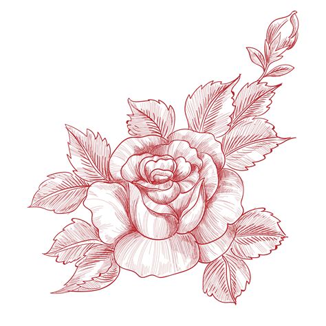 Hand Drawing And Sketch Roses Floral Design 1308245 Vector Art At Vecteezy