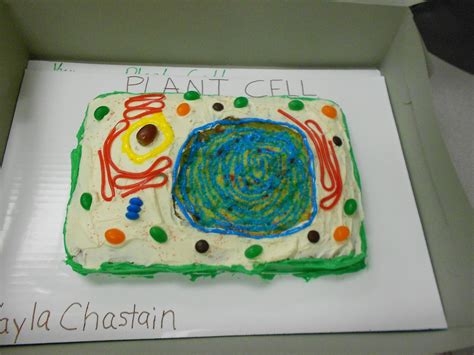 Mrs Mcdonalds 4th Grade Make A Cell Model Project