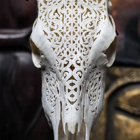 Hand Carved Cow Skull Celtic 1 Aureus Arts Touch Of Modern