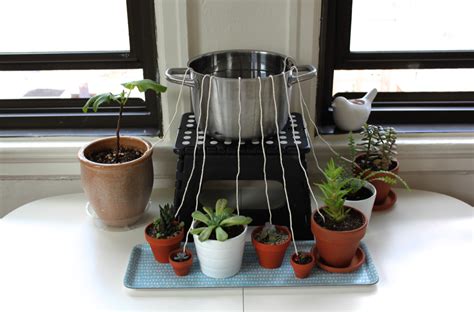 Diy Automatic Indoor Plant Watering System Valley Garages Ideas From