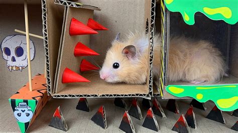 🐹 Halloween Hamster Maze With Traps Obstacle Course Youtube