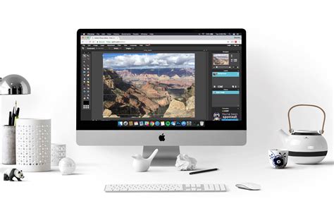 With your photo open in photoshop, click on the crop tool. How to Crop a Photo in Windows and MacOS | Paint, Photos ...