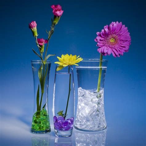 Bridal bouquets of lilac carnations in a four round glass vases different sizes as table decoration. 17 Best images about Flower Vases on Pinterest | Farmhouse ...