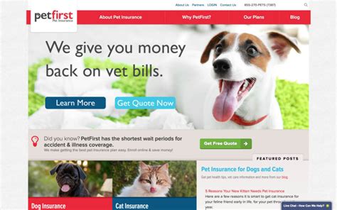 Pet insurance is not like car insurance; Best Pet Insurance Companies | Petlife