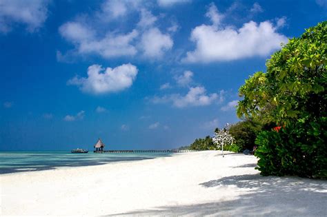 Avis Et Photos De La Piscine De Lcanareef Resort Maldives Tripadvisor