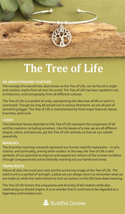Meaning of the Tree of Life | Tree of life quotes, Tree of life meaning ...