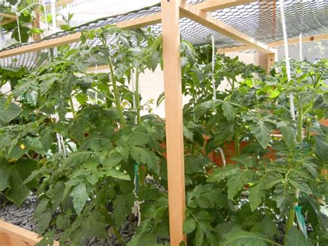 This trellis is solid, well made, and attractive. trellis 2 b - Portable Farms® Aquaponics Systems