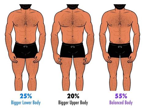the ideal male body type according to women in shape today