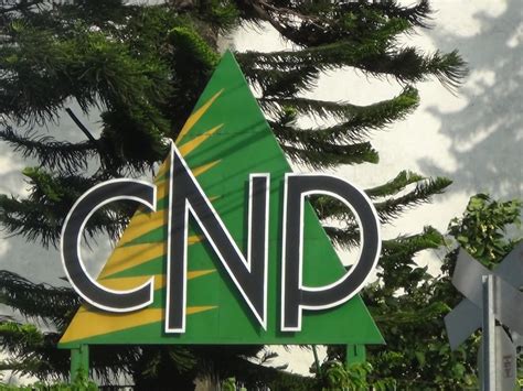 Hacienda Revela Lista De Contribuyentes Morosos CNP Sigue En Primer Lugar