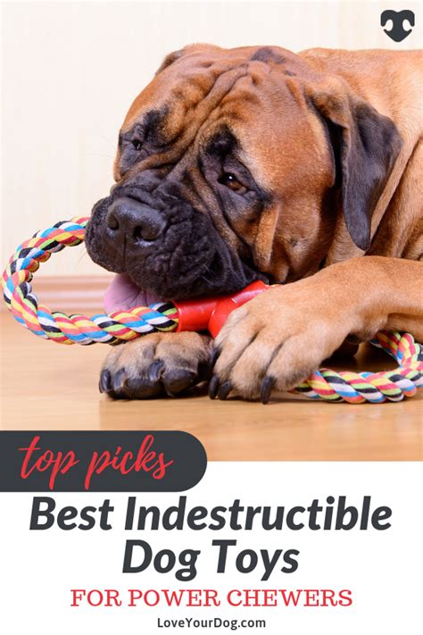 Best Indestructible Dog Toys For Aggressive Chewers 2021 Reviews