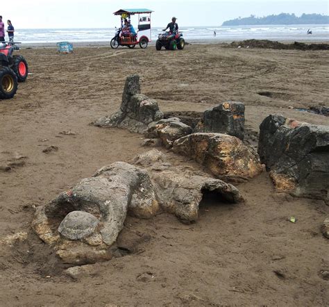 Batu Malin Kundang di Ranah Minang | DETaK USK