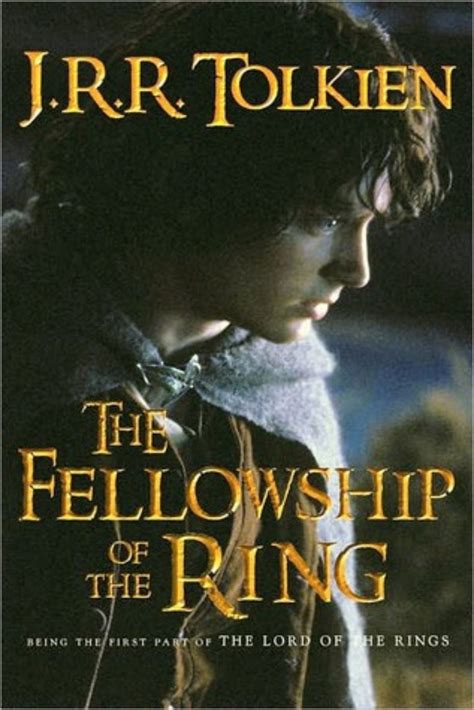 The Fellowship Of The Ring — The Lord Of The Rings Series Plugged In